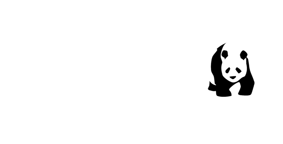 Creative Panda